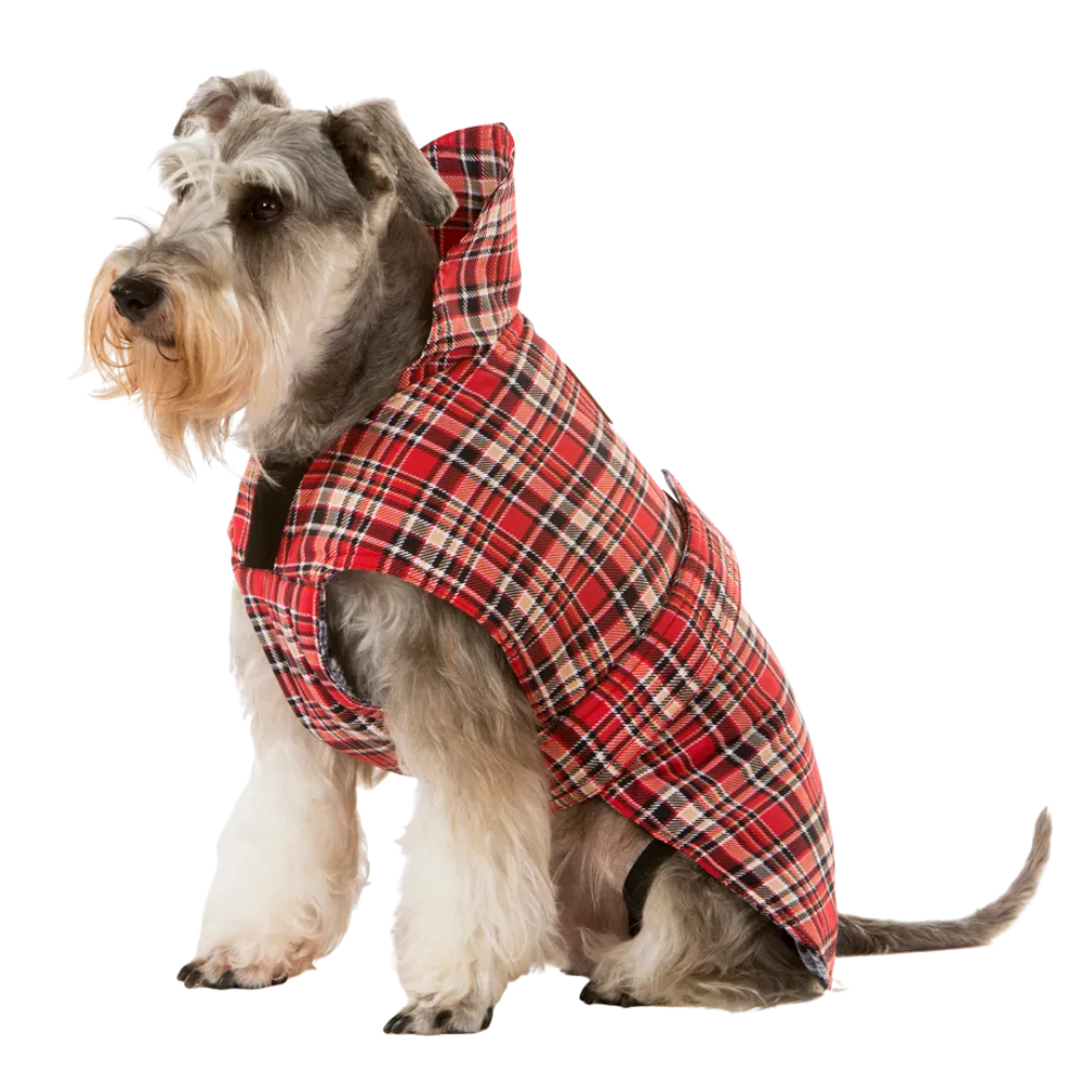 Tartan Red Dog Coat